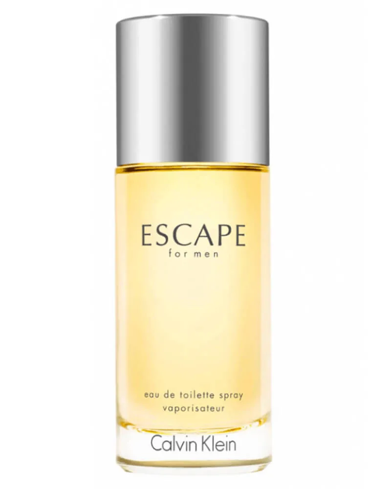 Calvin Klein Escape EDT 100 ml