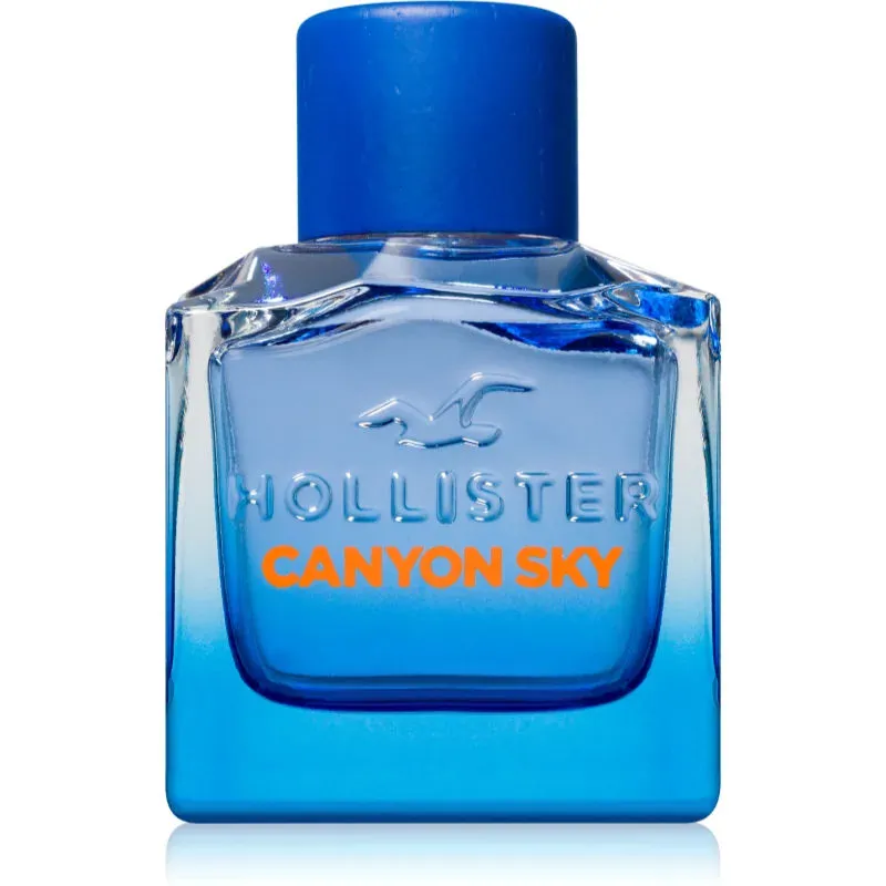 Herenparfum Hollister Canyon Sky EDT 100 ml