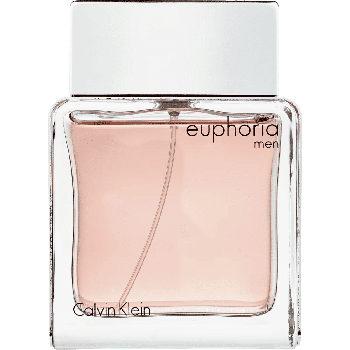 Calvin Klein Euphoria Men Eau de Toilette 100 ML 100 ML
