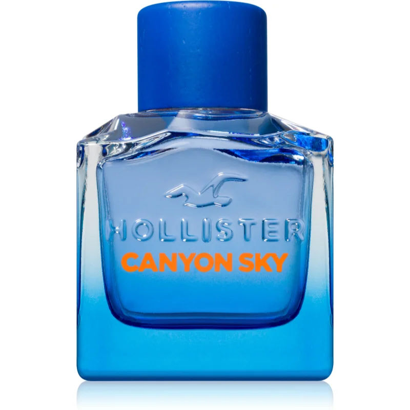 Herenparfum Hollister Canyon Sky EDT 100 ml