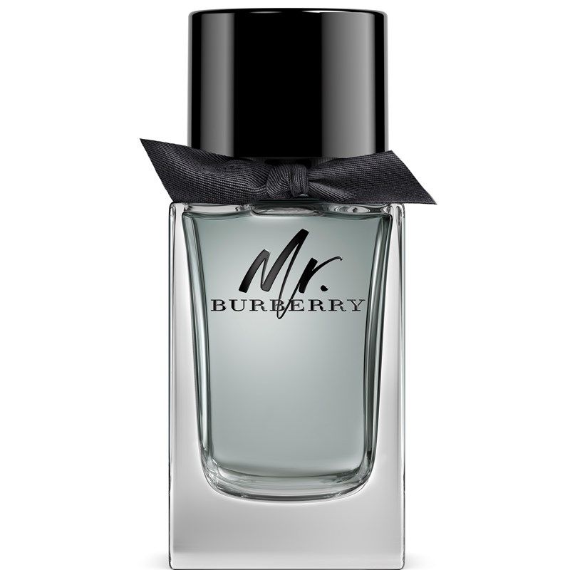 Burberry Mr. Burberry Eau de Toilette 100 ml
