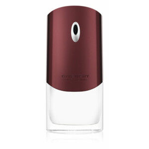 Givenchy Pour Homme 100 ml Eau de Toilette - Herenparfum