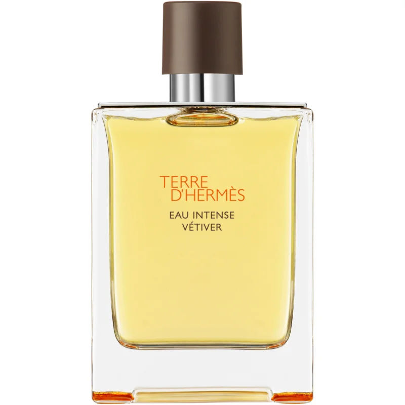 Hermès Terre d'Hermès Eau de parfum spray 200 ml