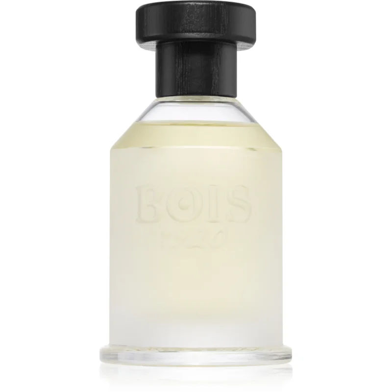Uniseks Parfum Bois 1920 EDP Classic 1920 100 ml