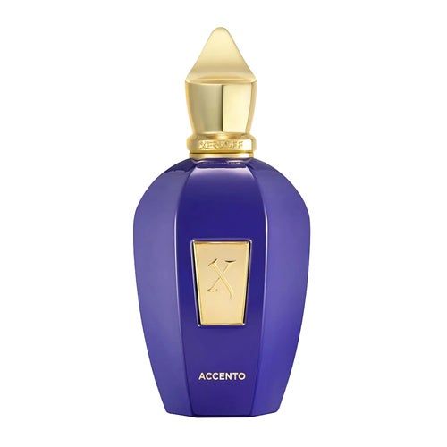 Xerjoff V Accento Eau de Parfum 100 ml